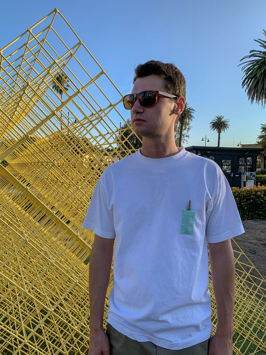 Shirts
